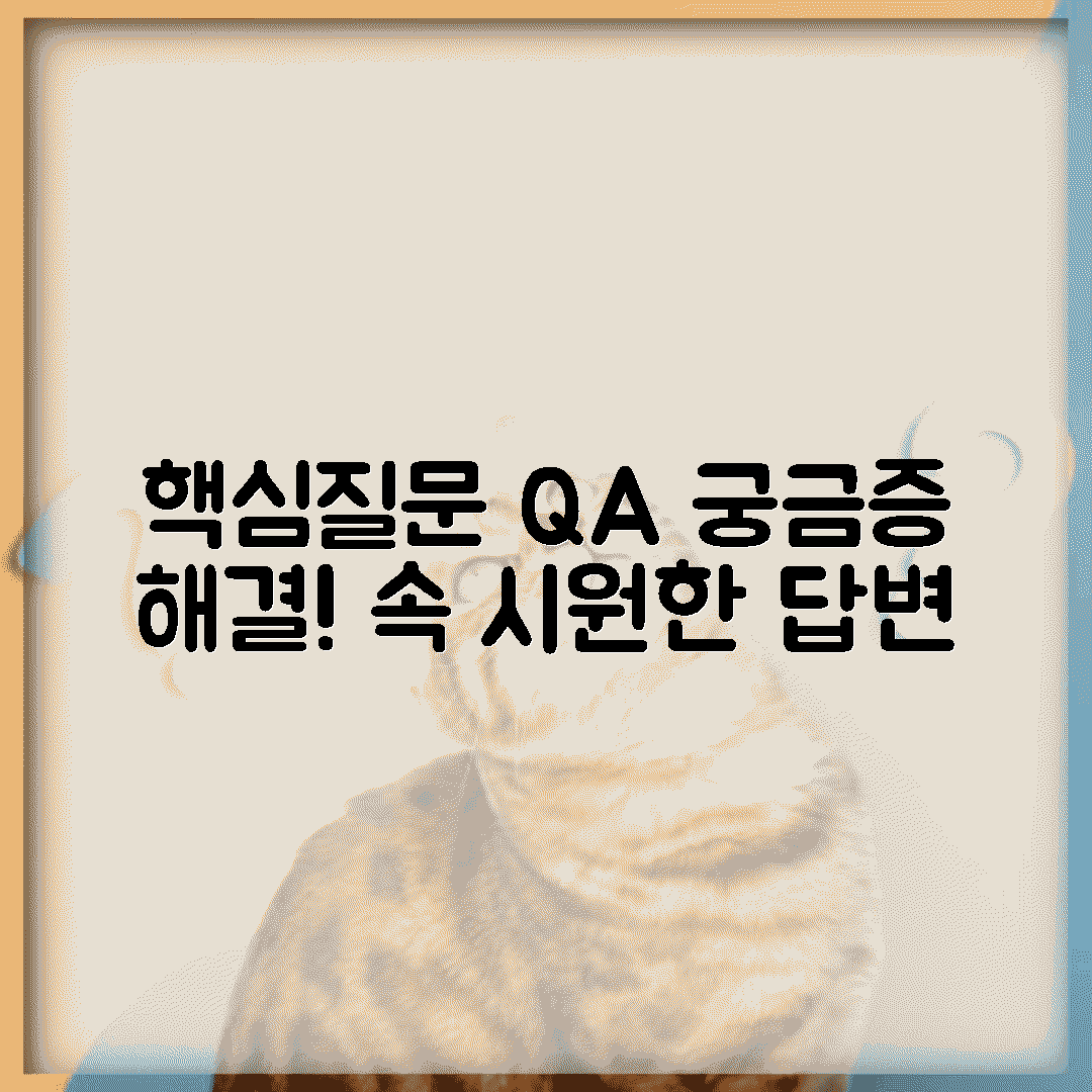 자주 묻는 질문