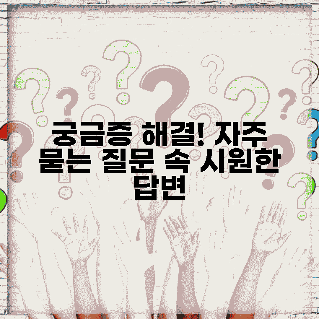 자주 묻는 질문