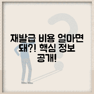재발급 비용, 얼마나 들까?