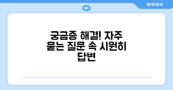 자주 묻는 질문