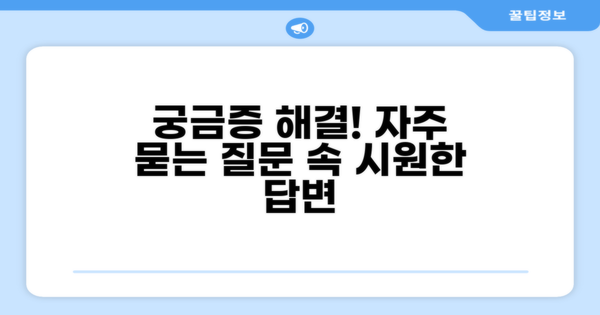 자주 묻는 질문