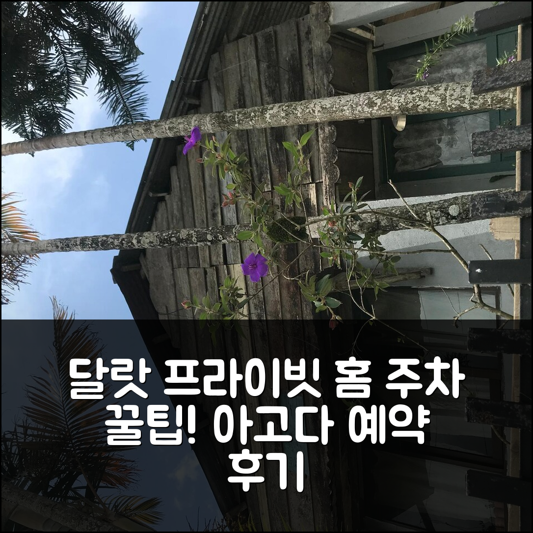 달랏 시내의 프라이빗 하우스, 주차 꿀팁 예약 후기!
