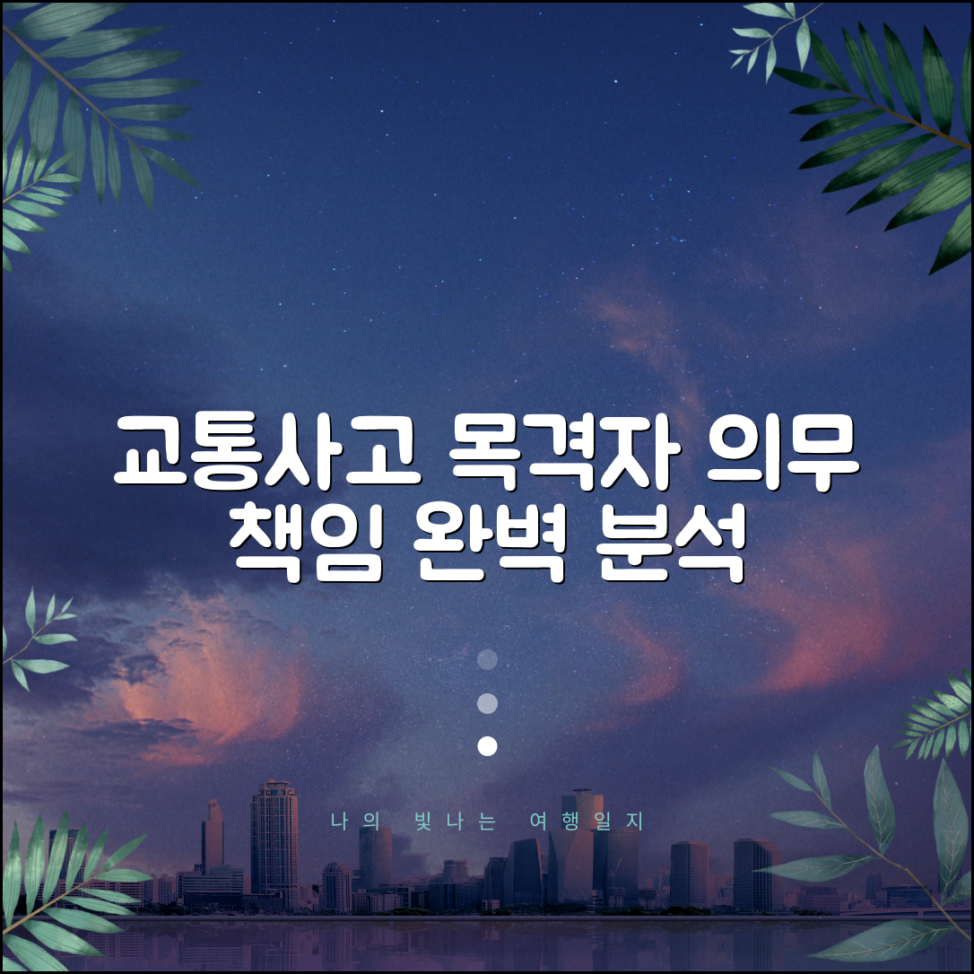교통사고 목격자 증언 의무 완벽 가이드: 법적 책임 분석