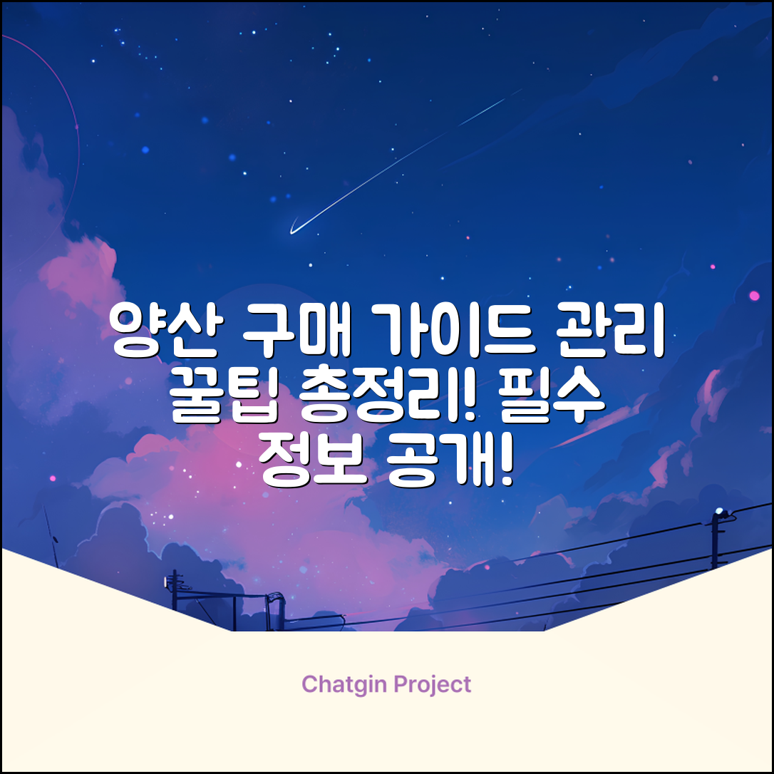 양산 구매 정보부터 관리법까지 총정리