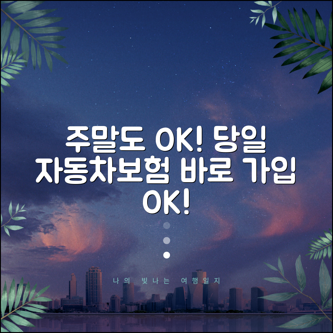 주말 자동차보험 가입 | 언제든지 당일 보험 | 안심하고 알아보자
