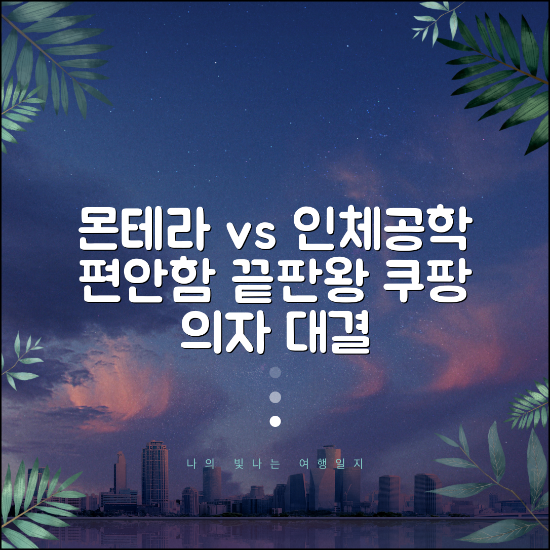 🛏️ 몬테라 체어 vs 인간공학 의자 편안함 비교