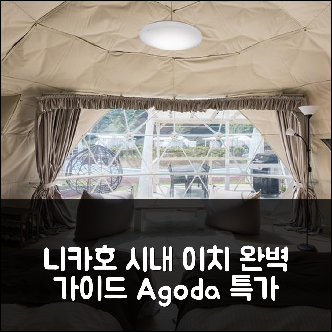니카호 시내 중심 이치에 완벽 가이드