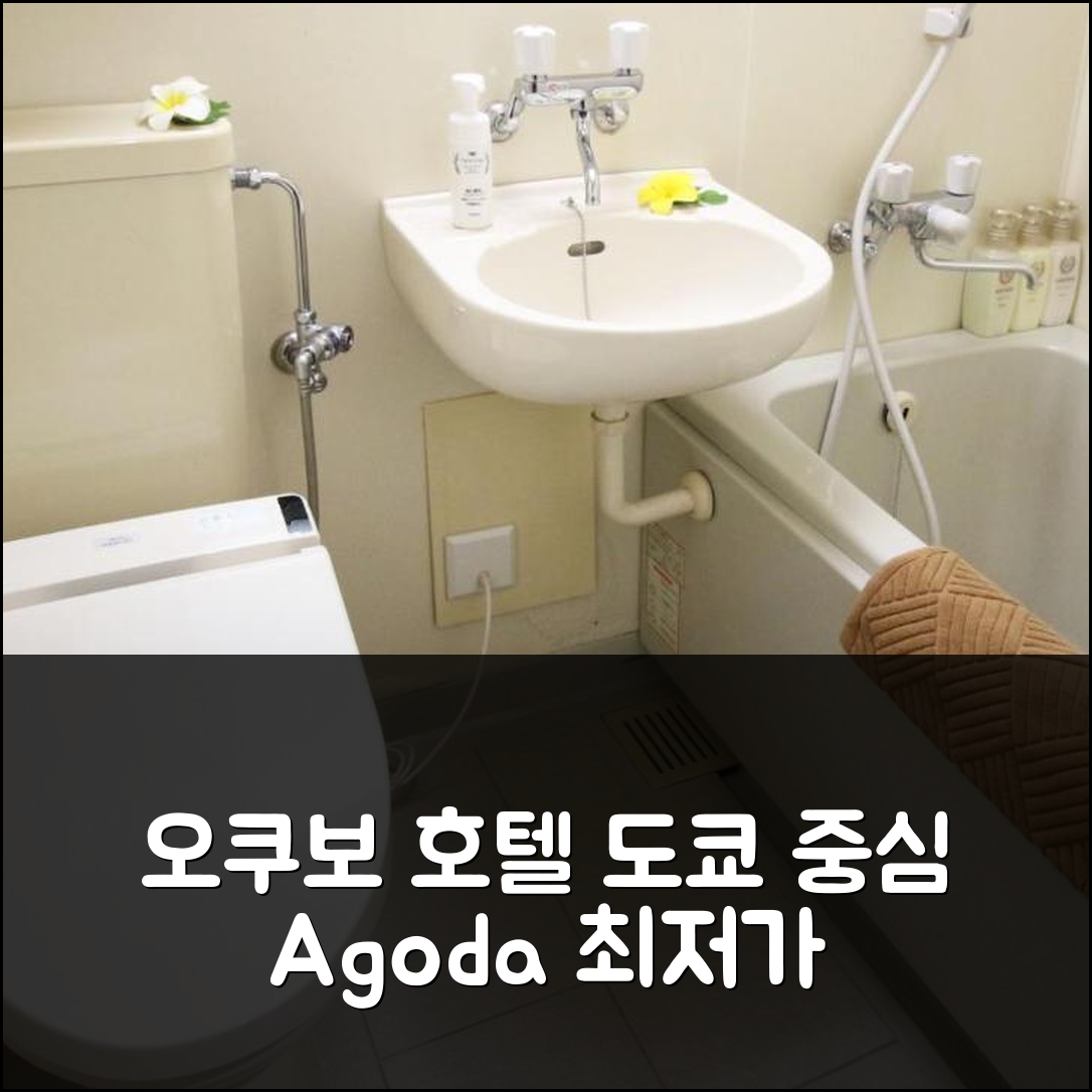 도쿄 / 동경 시내 중심 오쿠보 호텔 하와이
