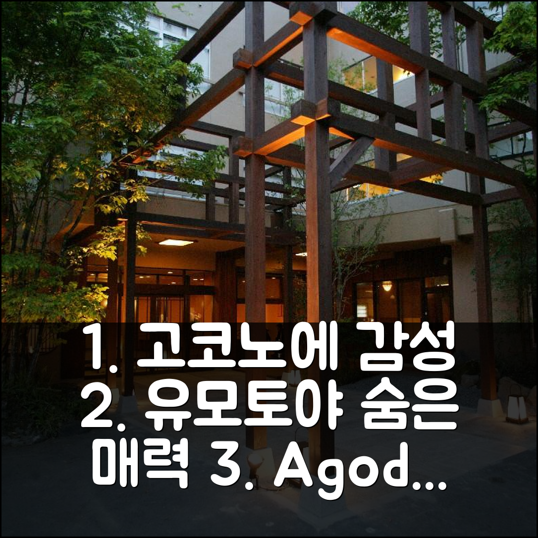 고코노에 감성 충만! 하우센지 간코우 호텔 유모토야 숨겨진 매력 탐험