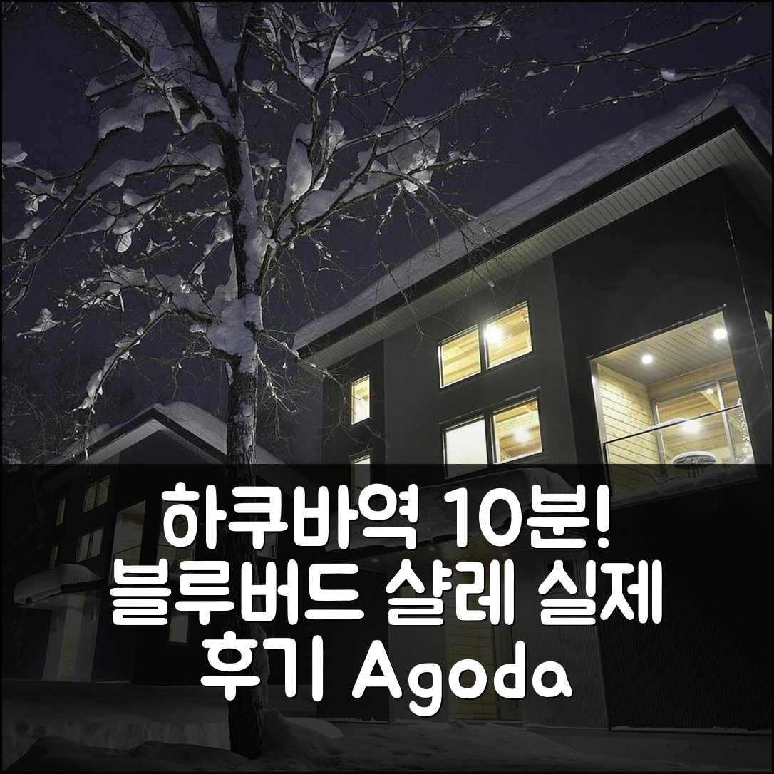 하쿠바역 10분 블루버드 샬레 실제 숙박기