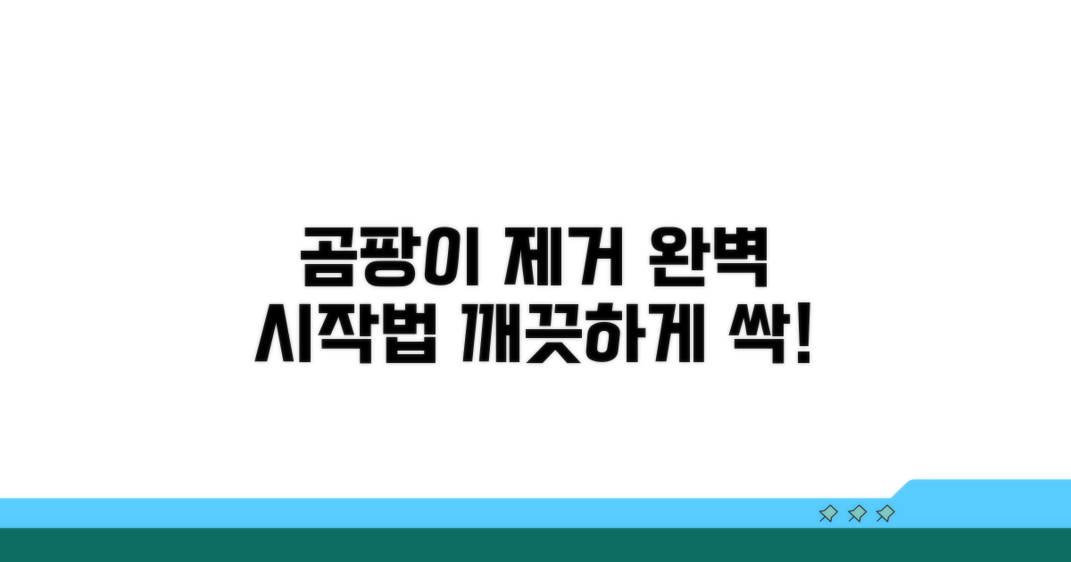 곰팡이 제거, 제대로 시작하기