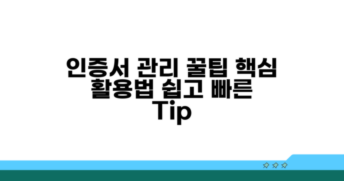 인증서 관리 꿀팁과 활용법