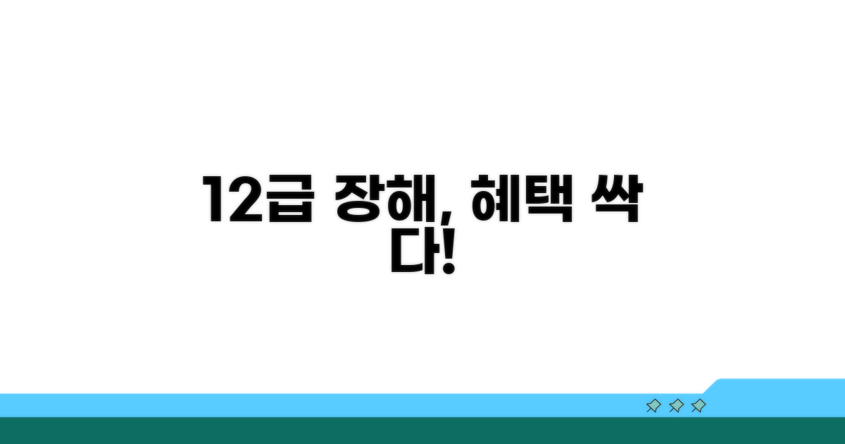 12급 장해 혜택 총정리