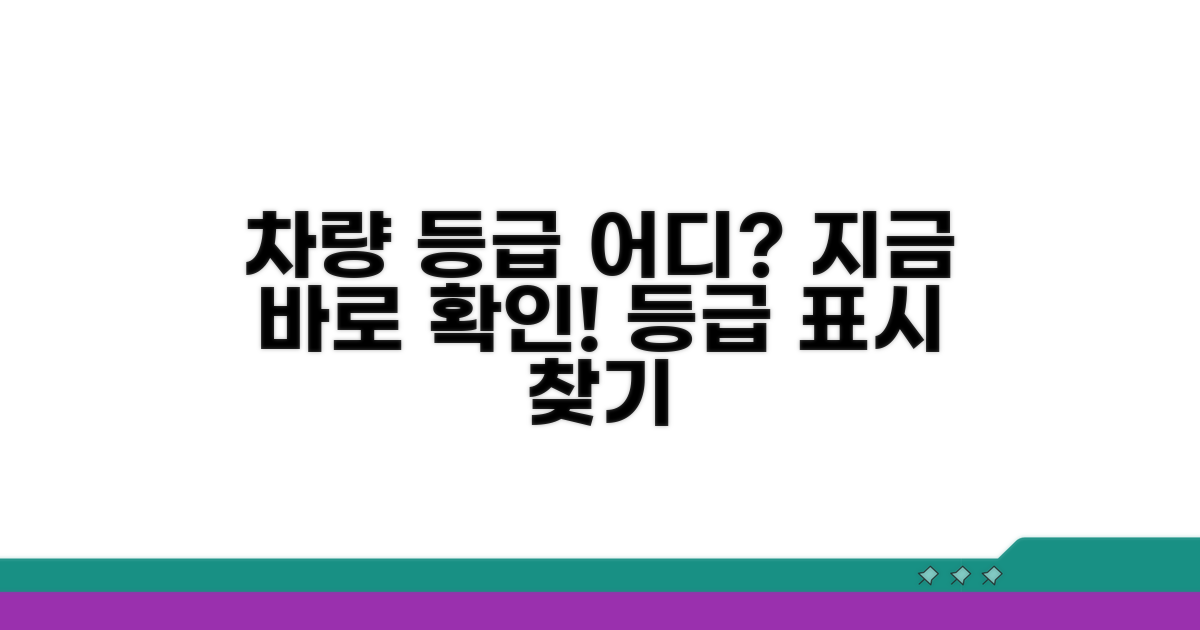 차량 등급 표시, 어디서 확인해?