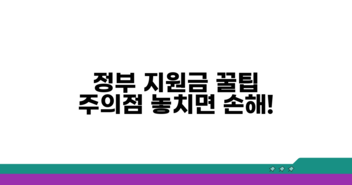 정부 지원금 활용 전략과 주의사항