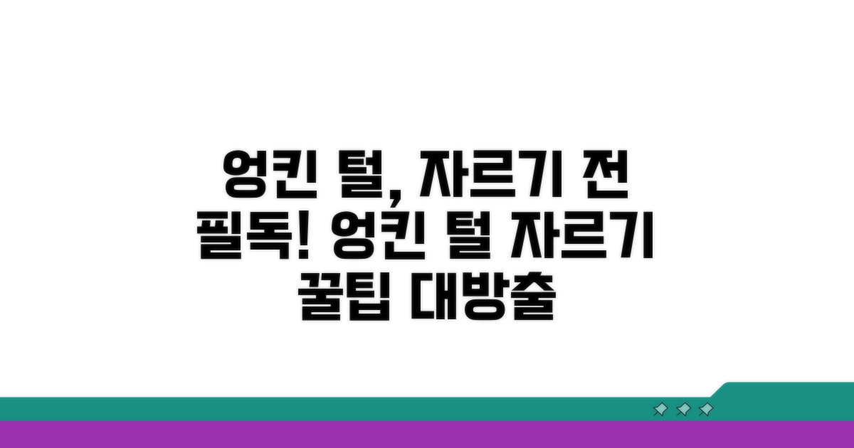 엉킨 털 자를 때 꼭 알아두기