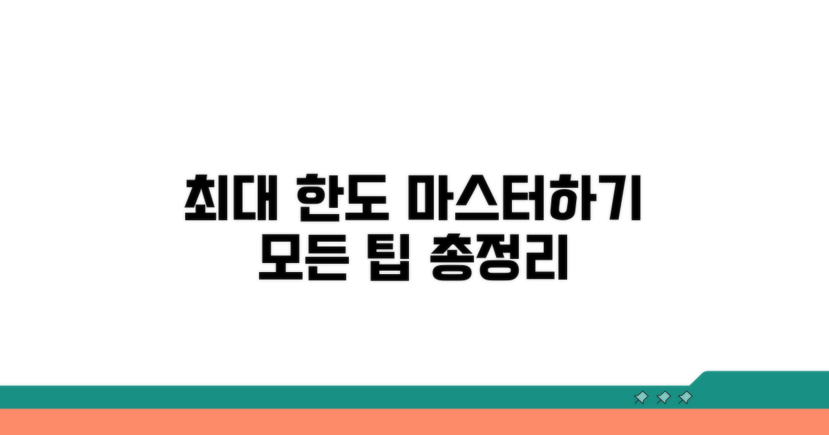 최대 한도 활용법 완전정리