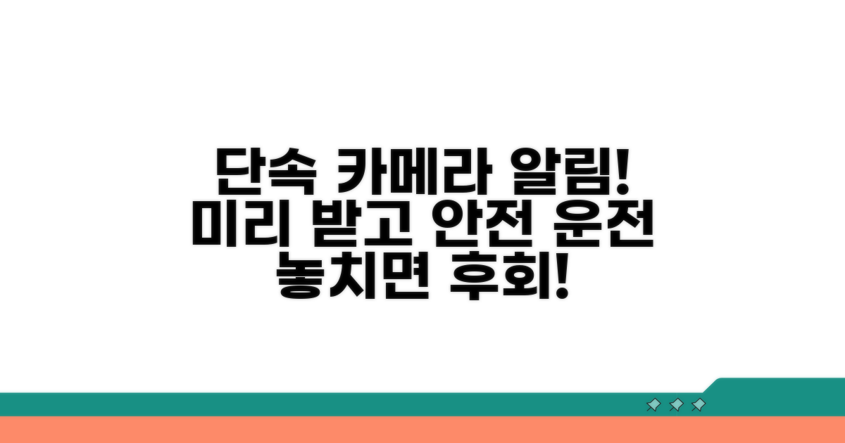 단속 카메라 미리 알림 받고