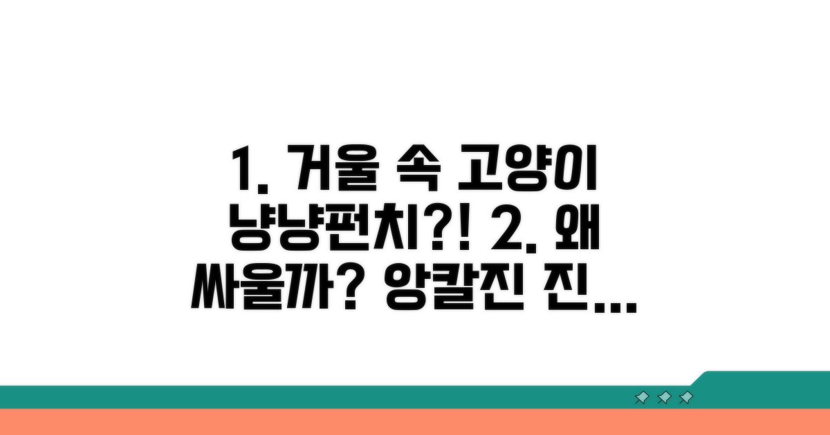 고양이 거울 속 자신과 왜 싸울까?
