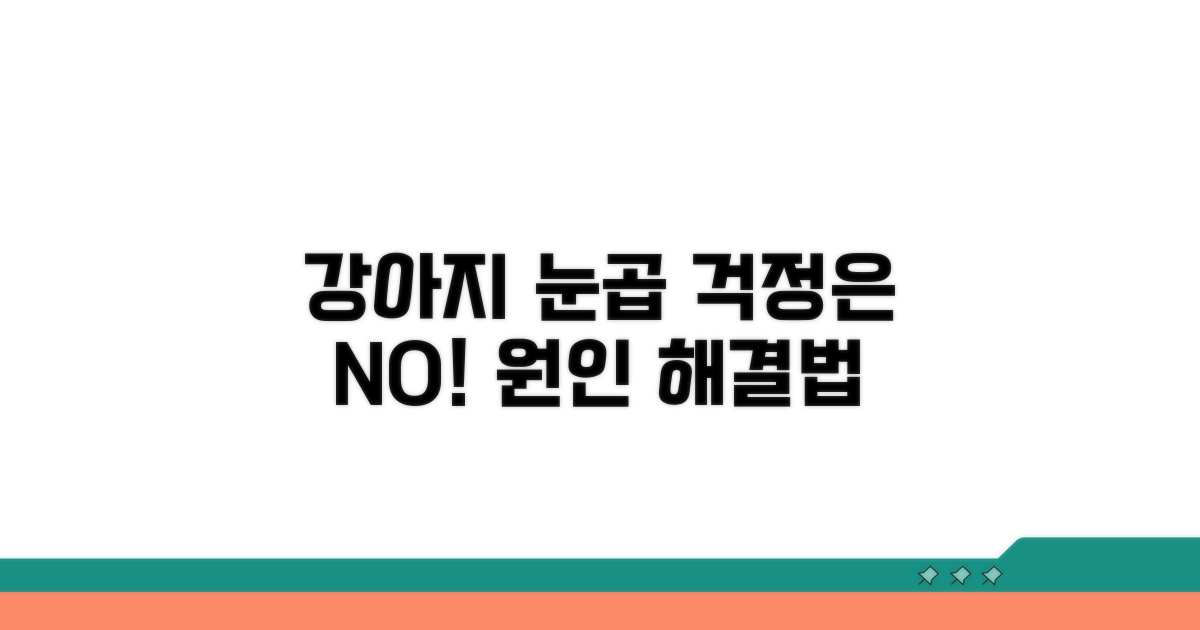 강아지 눈곱 많이? 원인 분석!