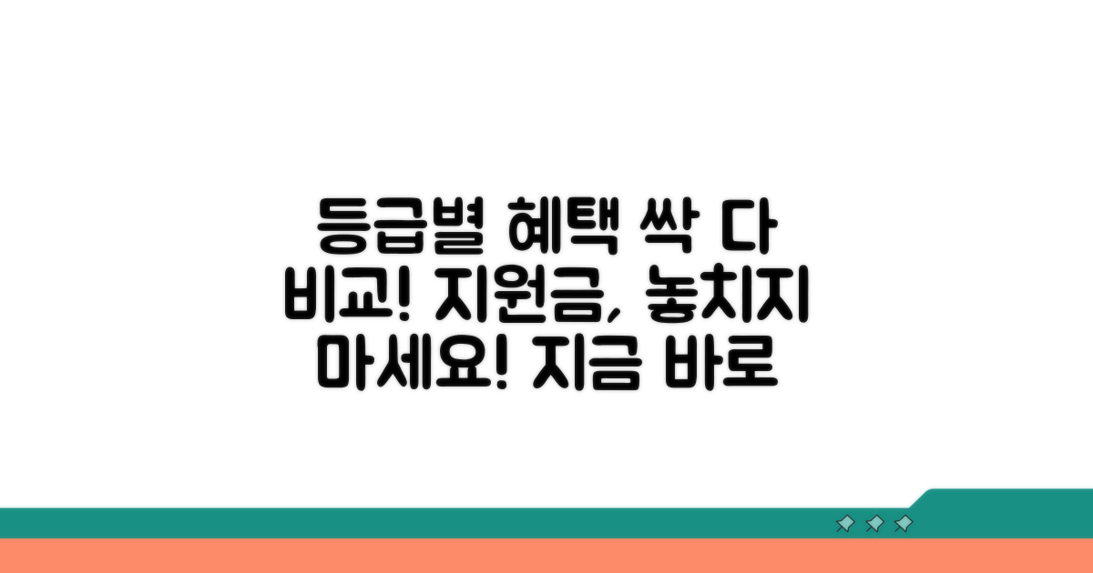 등급별 혜택과 지원금 비교 분석