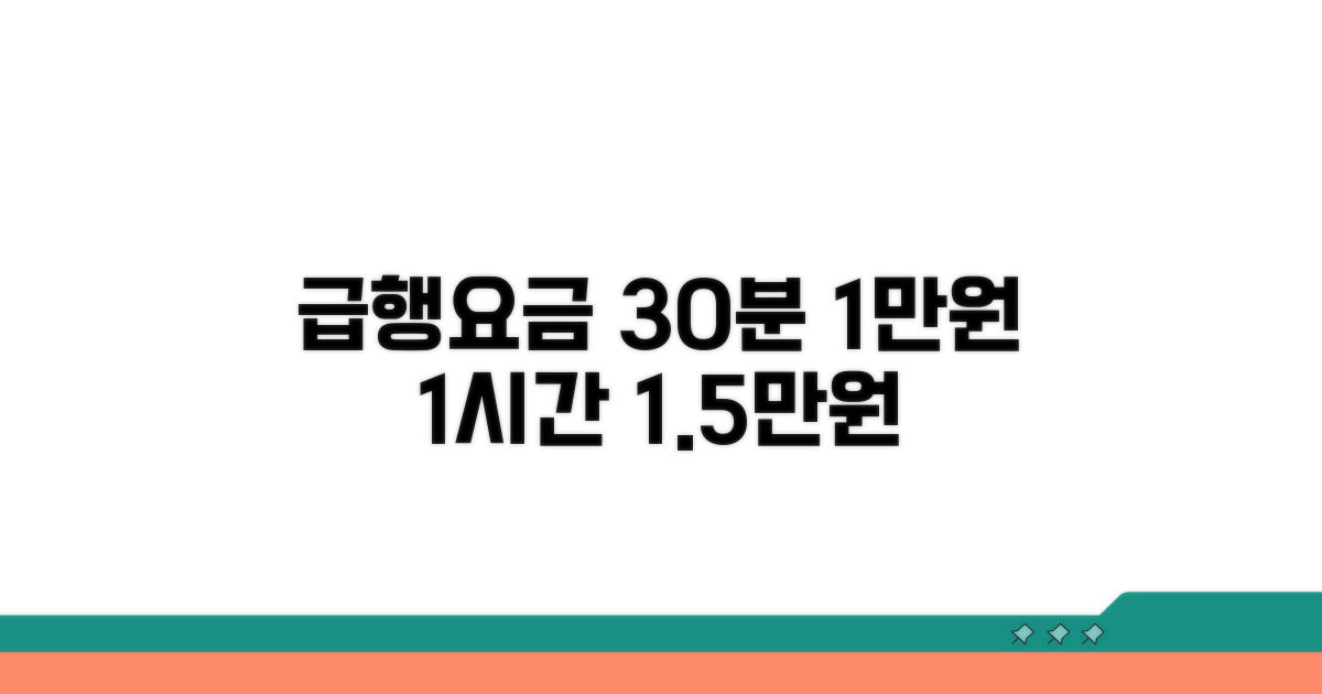 30분 1만원, 1시간 1.5만원 급행 요금