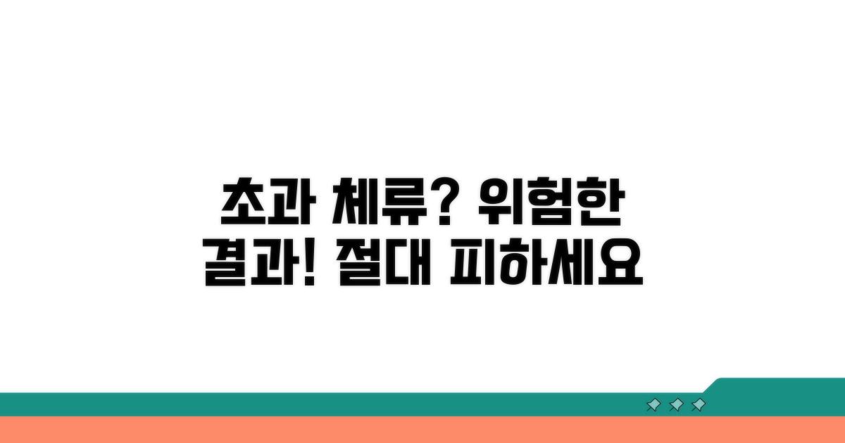 초과 체류 시 발생할 수 있는 문제
