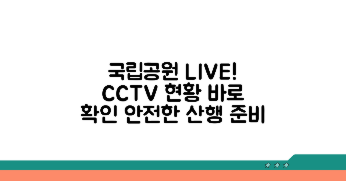 국립공원 CCTV 실시간 현황 확인