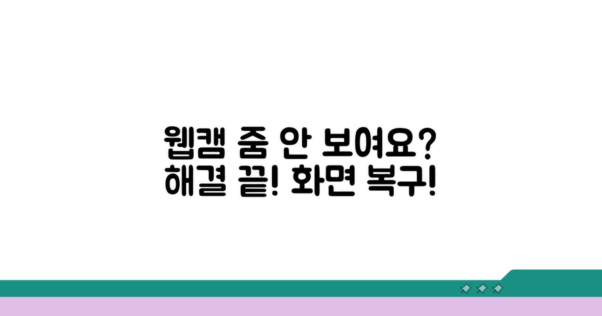 내 웹캠 줌에서 안 보일 때 해결