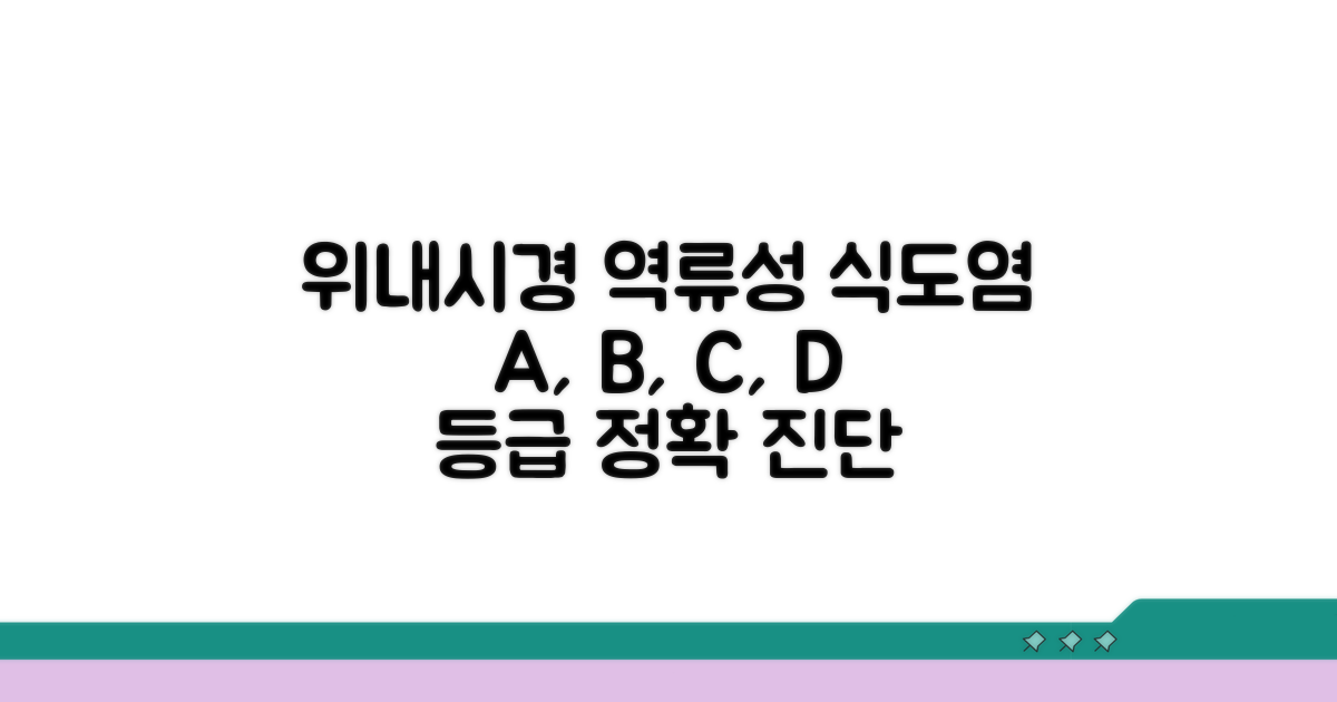 위내시경 역류성식도염 A형 B형 C형 D형 등급