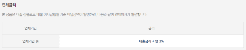 카카오뱅크 비상금대출 연체