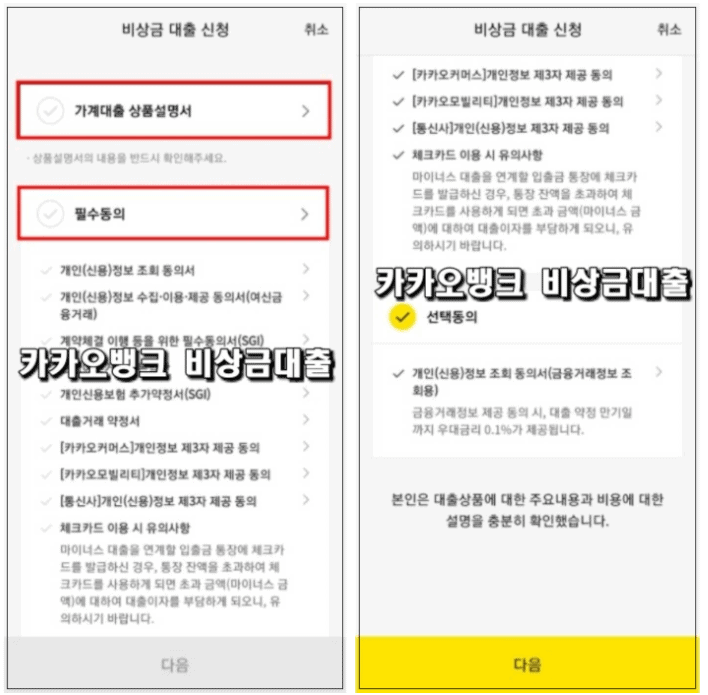 카카오뱅크 비상금대출 신청 서류