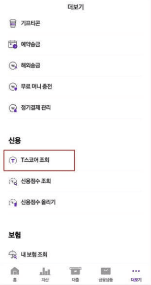 티 스코어 조회