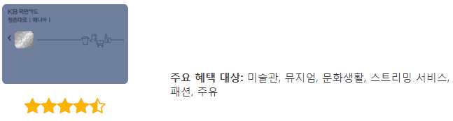 KB국민 청춘대로 마니아 I 카드