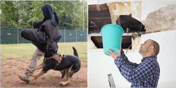 일상생활배상책임보험 보상