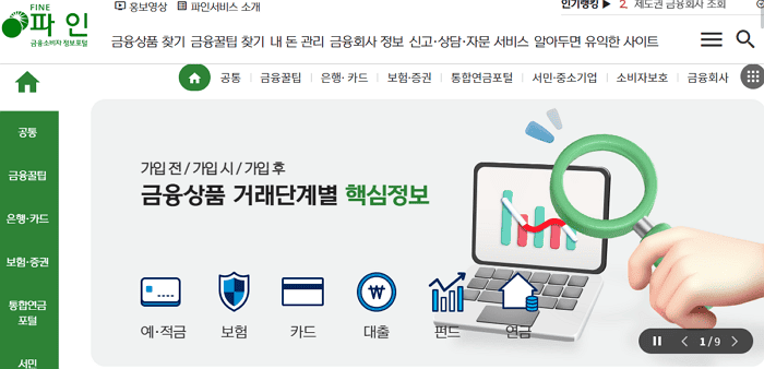 금융소비자 정보포털