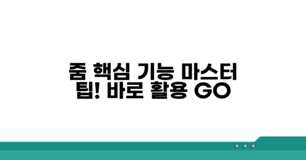 주요 줌 기능 활용 팁