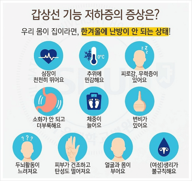 갑상선 기능 저하증 증상