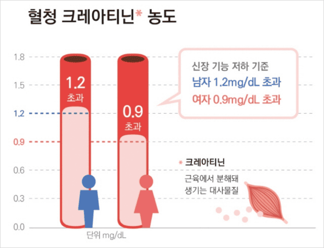혈청 크레아티닌 농도