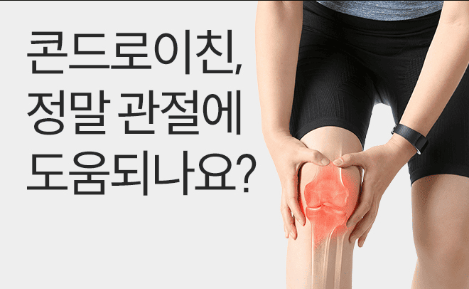 콘드로이친 관절건강