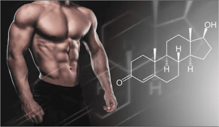 테스토스테론 증가