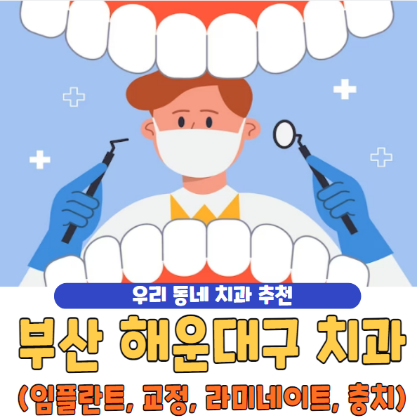 부산 해운대구 치과