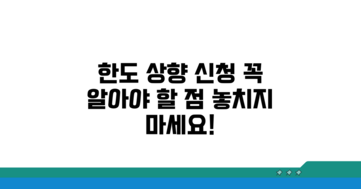 한도 상향 신청 시 고려사항
