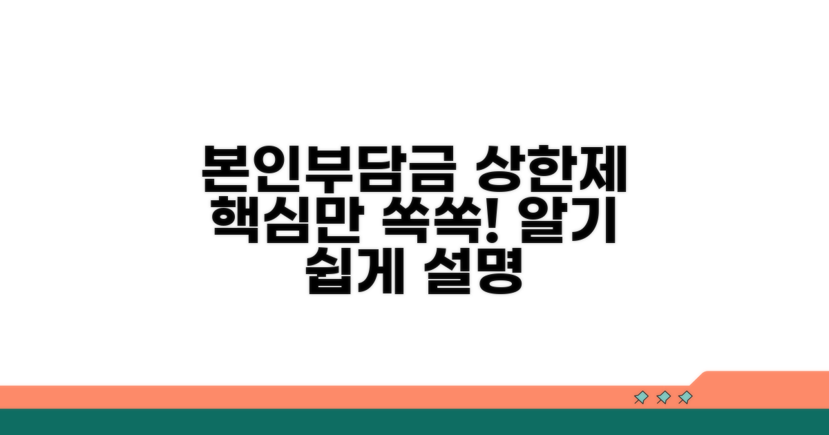 본인부담금 상한제 기본 이해