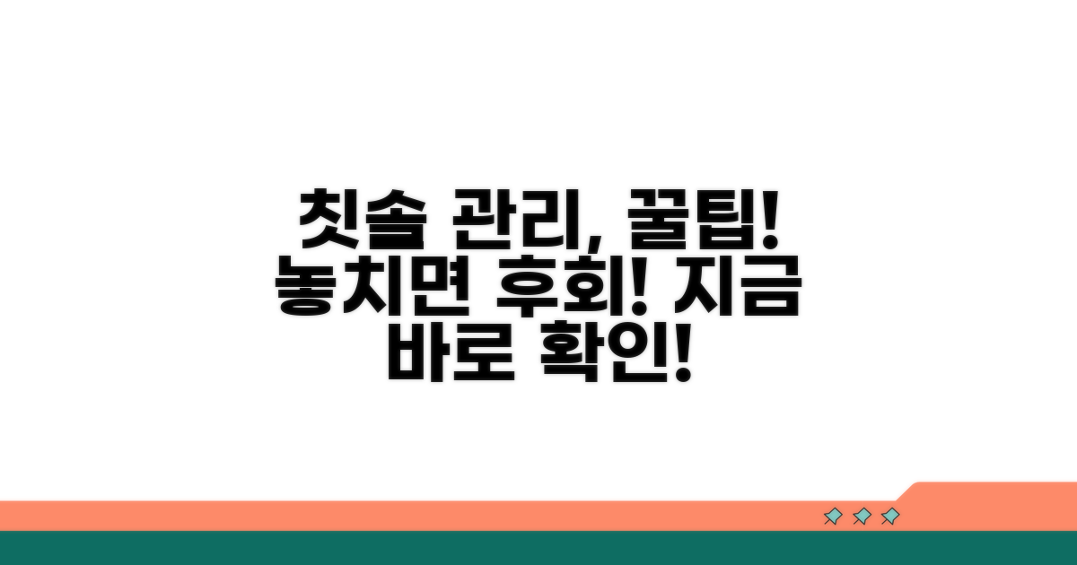 칫솔 관리, 놓치면 안 될 꿀팁