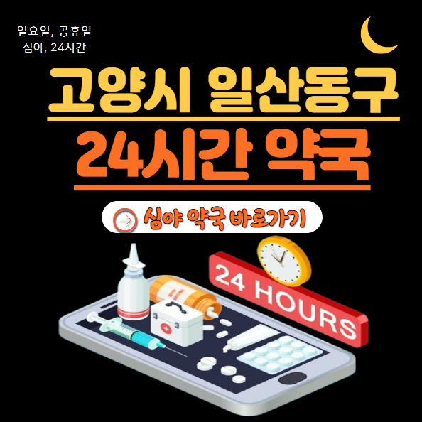 일산동구 24시 약국